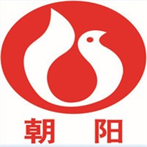 朝陽泵業(yè)科技水泵產(chǎn)品簡(jiǎn)介